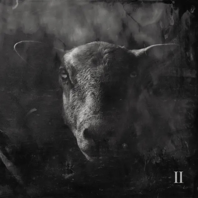 Ben Fuller Black Sheep II